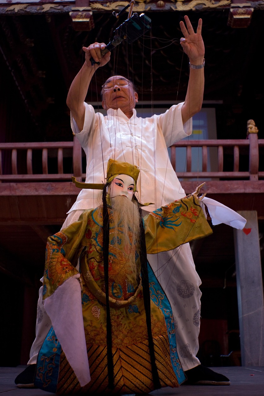 阙演员,演艺之路的闪耀之星