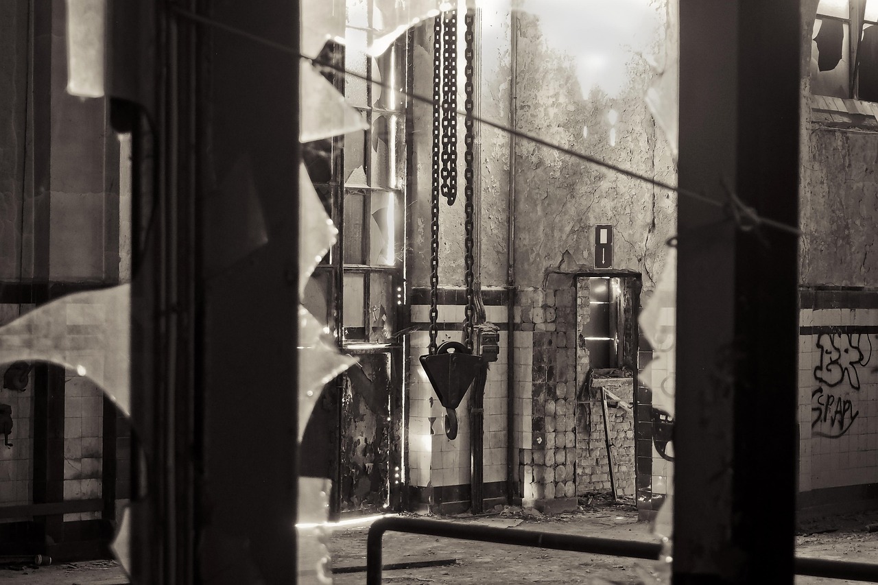 今日重庆新闻快讯,城市脉搏与多元发展动态速递