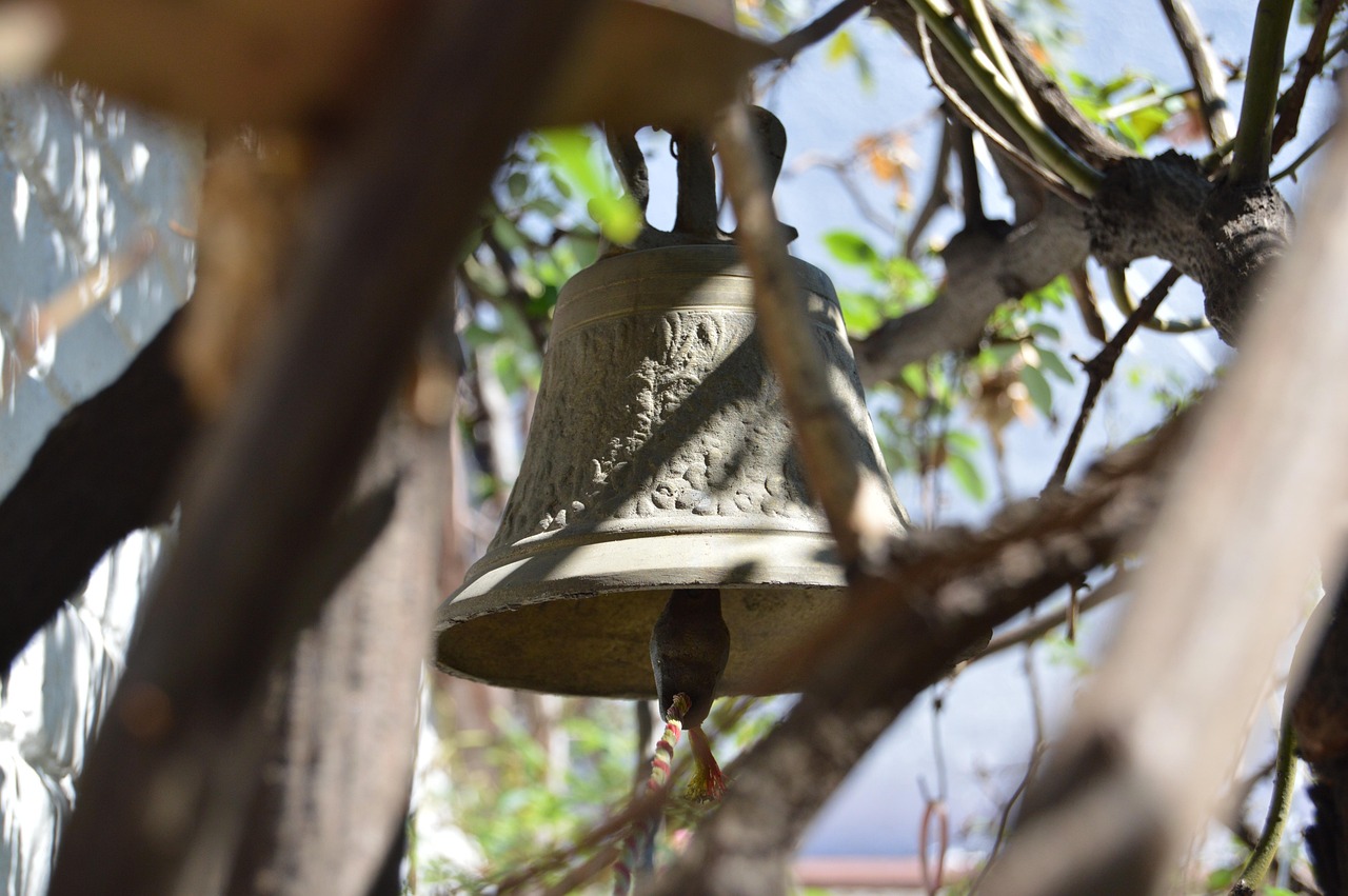 鸡行情网,洞悉禽类市场动态的专业平台