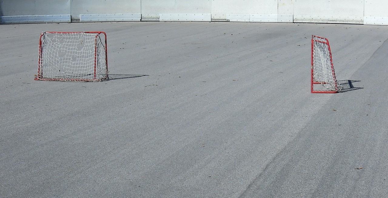 运动场上的激情与策略,追球动态揭秘