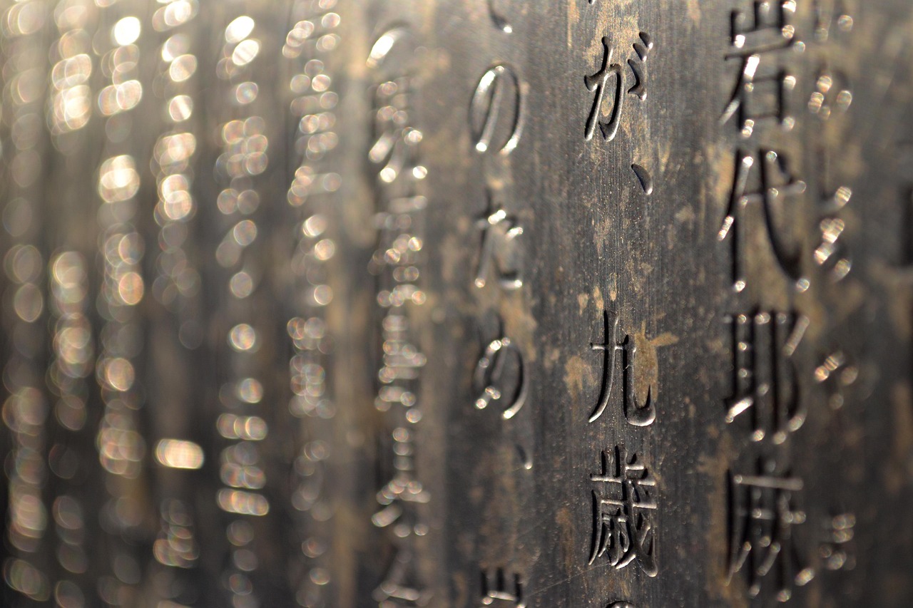 探究日屁电影,独特的文化现象解读