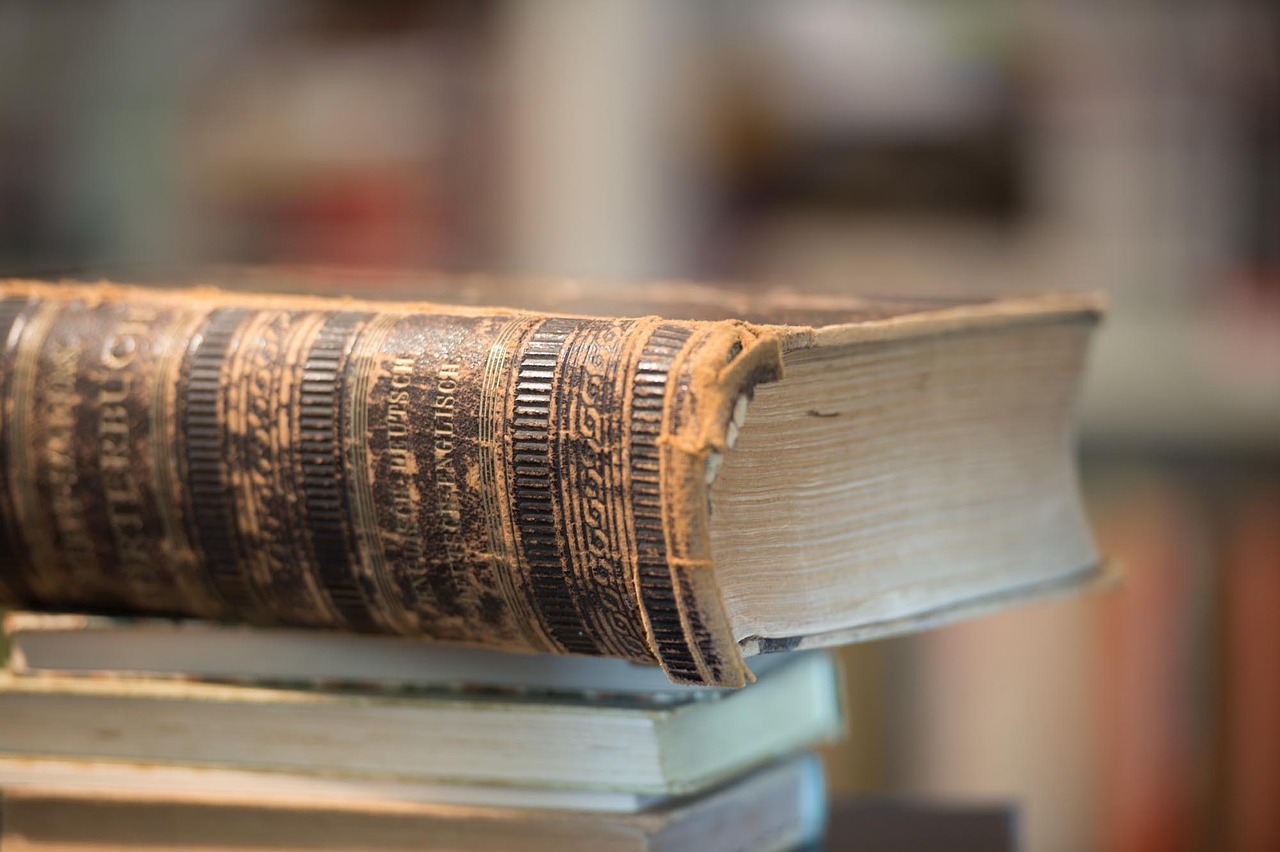 中国最新刑法修订版的深度解读与探讨