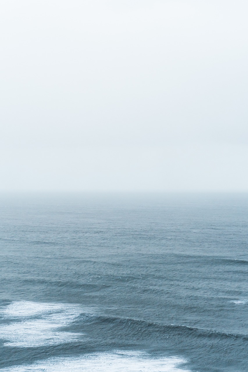 叶淼与叶水墨,探索艺术与生活的无限可能最新动态