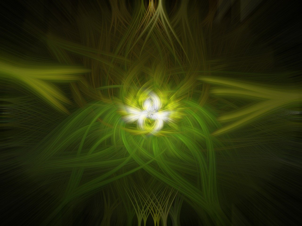 邪恶动态图新一期,深度探索与反思的启示