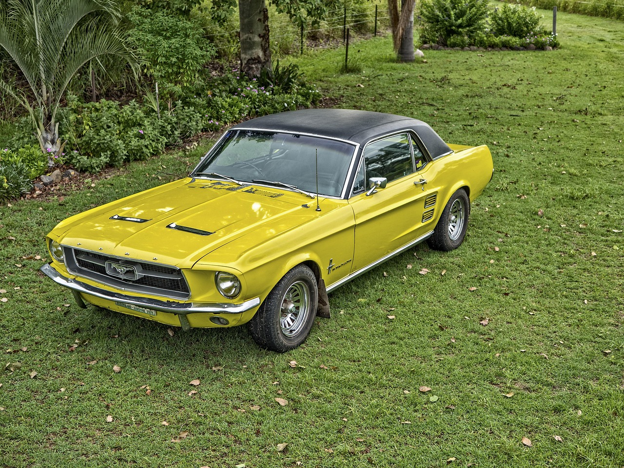 瑞步新款电动三轮车,未来时尚出行的引领者,实拍图片欣赏