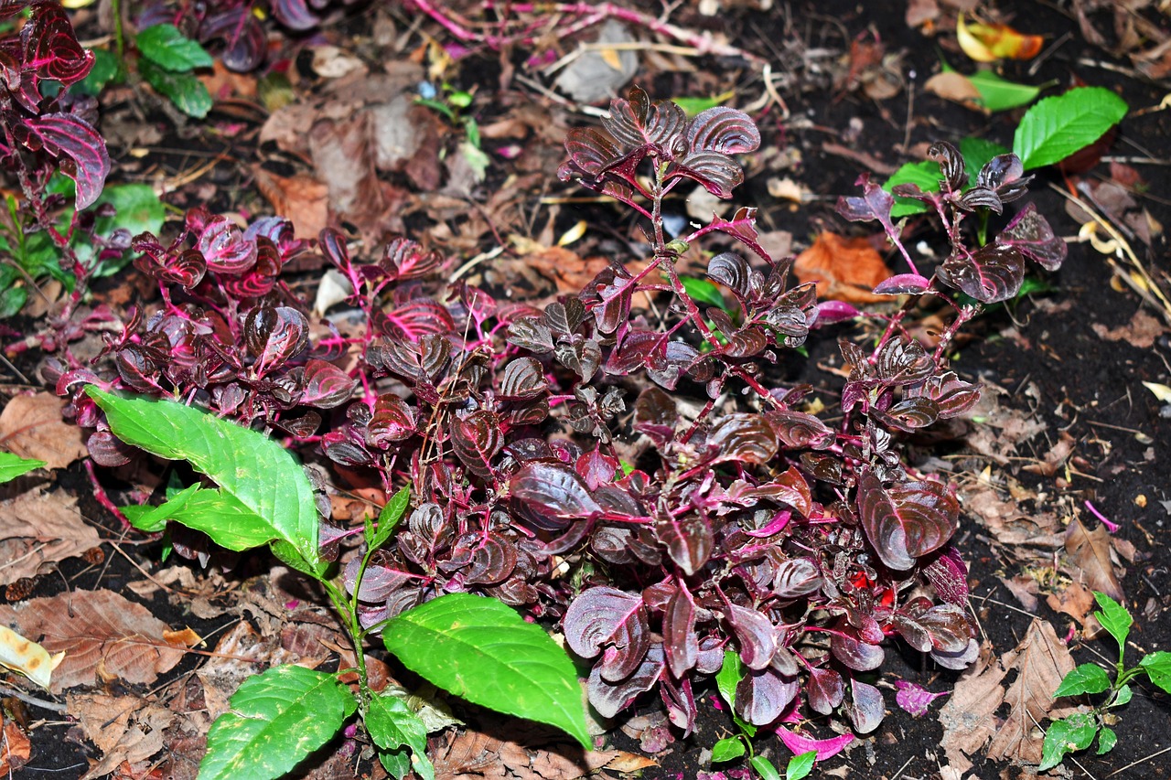 临沂石化爆炸最新动态,事故处理进展与全面防范措施解析