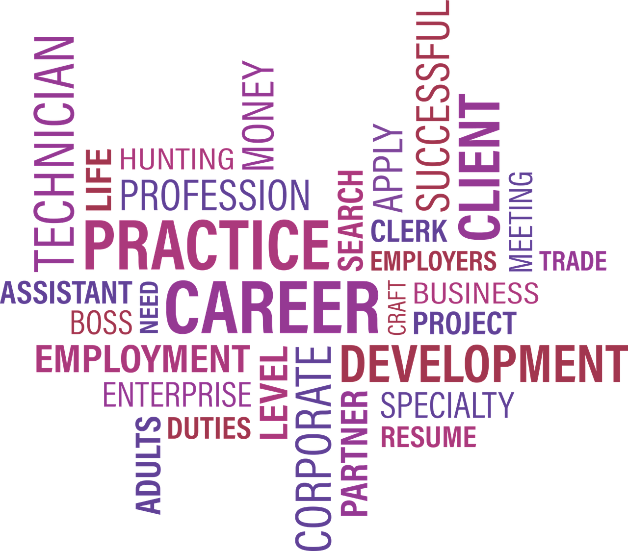 临沂南坊最新职位招聘信息及行业趋势深度解析