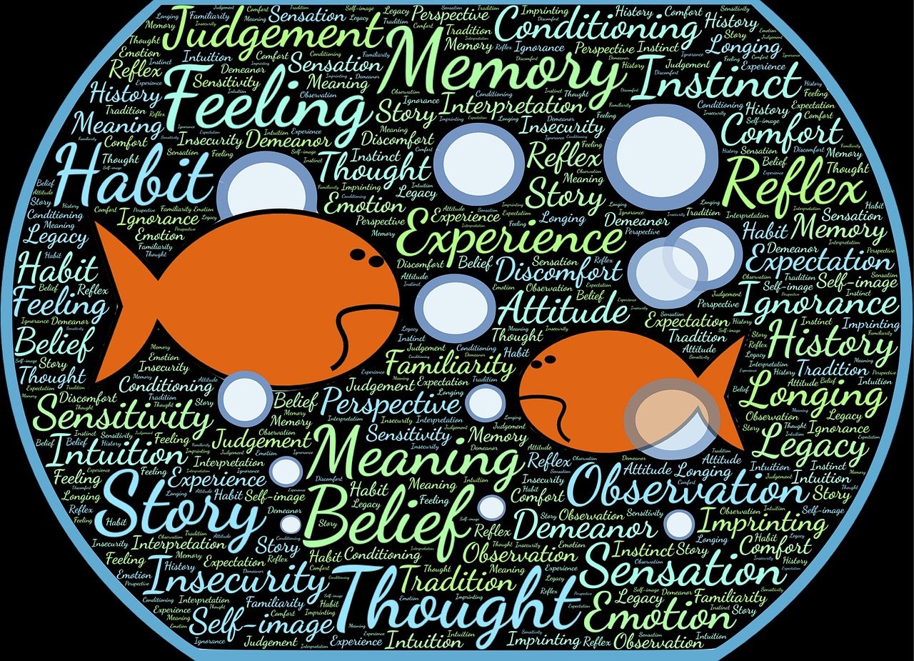 中国票房第一的电影背后的故事与启示,启示录与成功之道