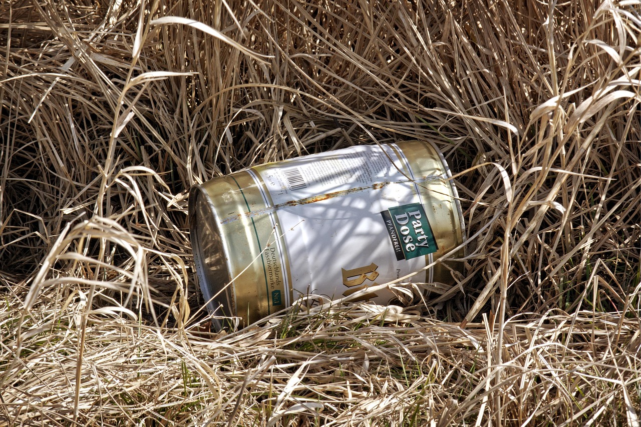 绩溪新闻快讯,县域发展最新动态与社会热点速递