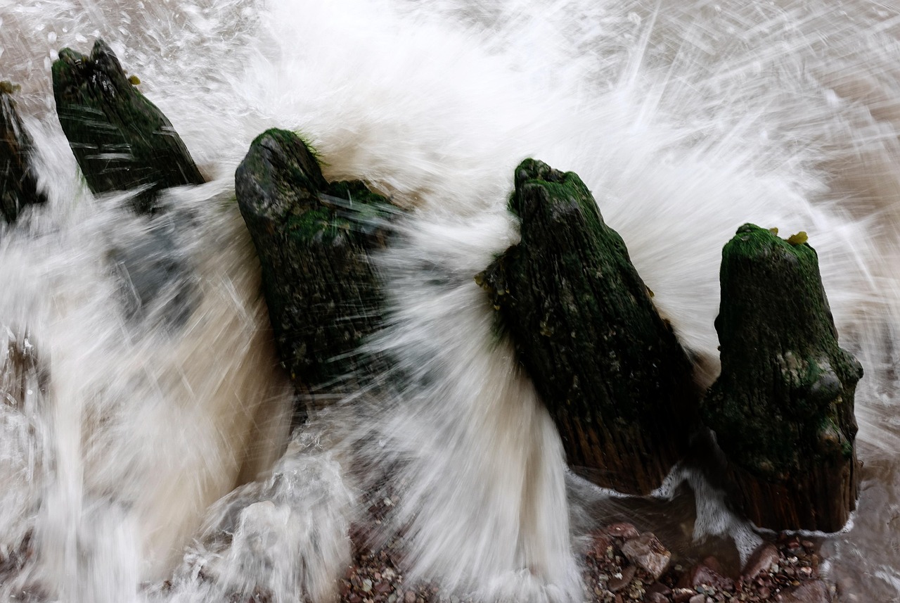 本站资讯更新,最新动态、深度解析一网打尽