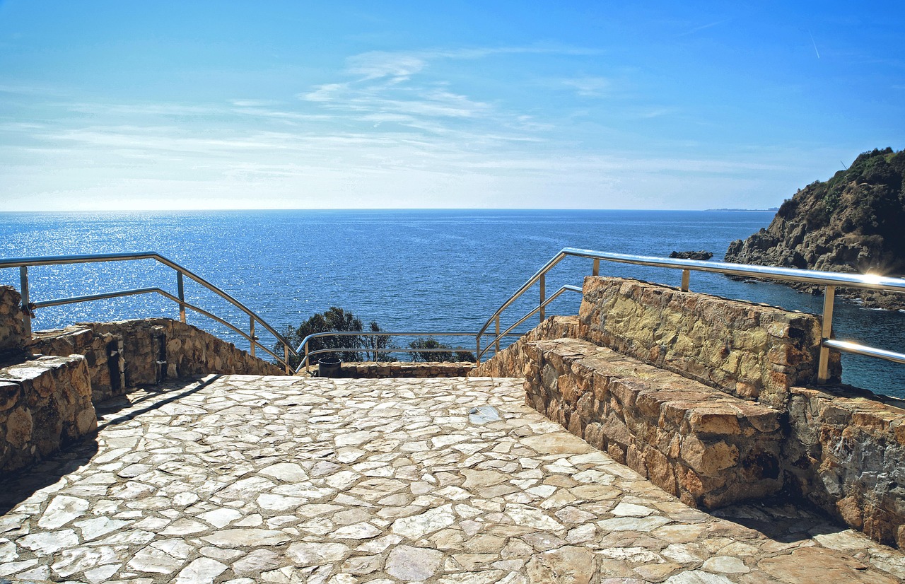 王者最新动态揭秘,游戏内外革新与发展全解析