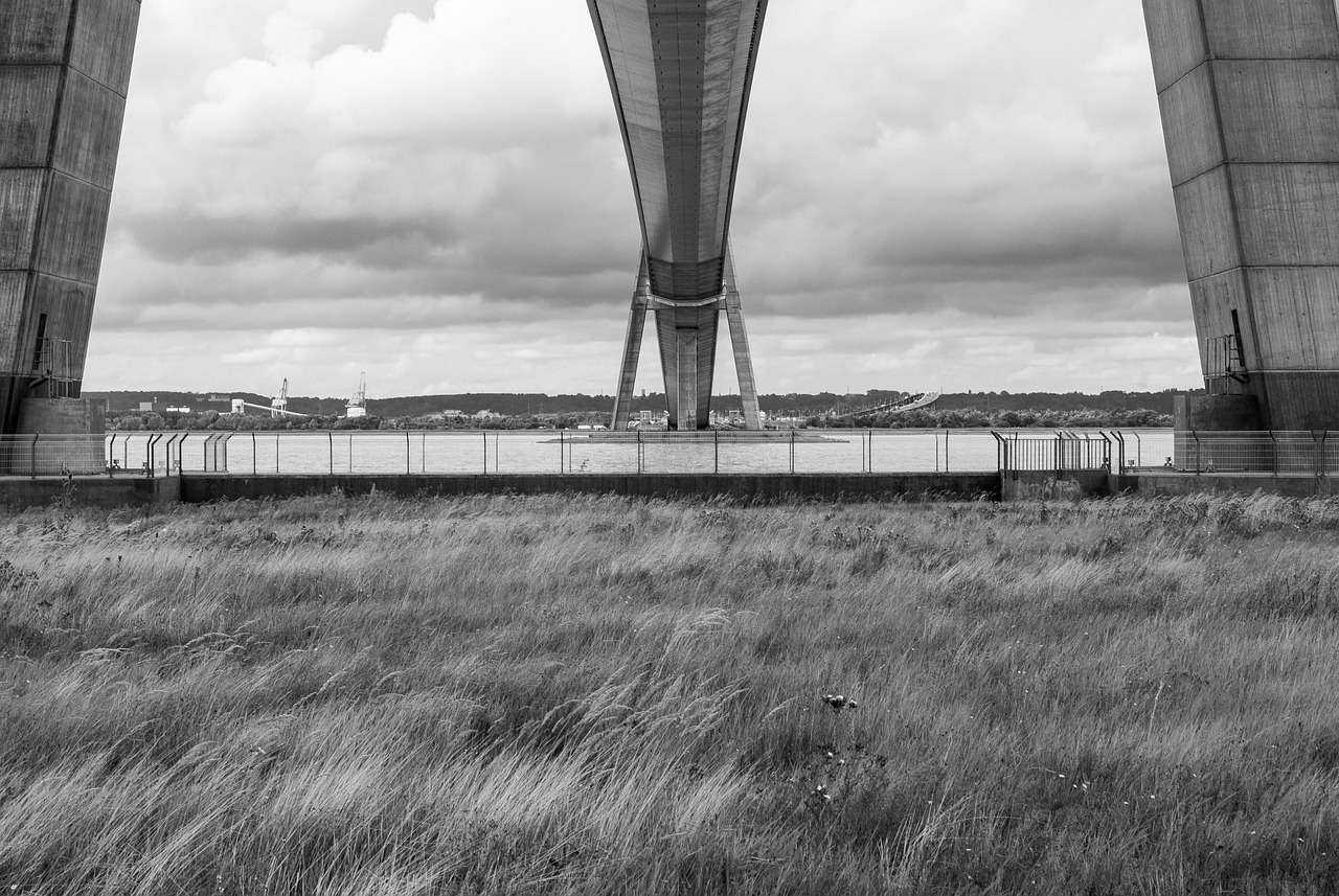 鸽子血动漫,虚拟世界与现实情感的桥梁