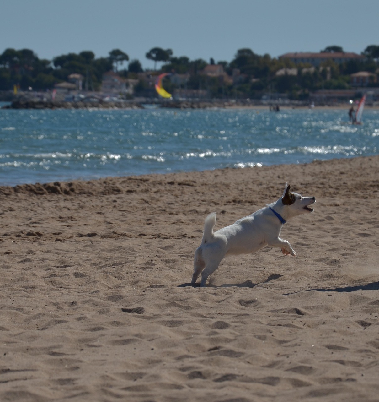 宋智恩的最新动态与魅力展现