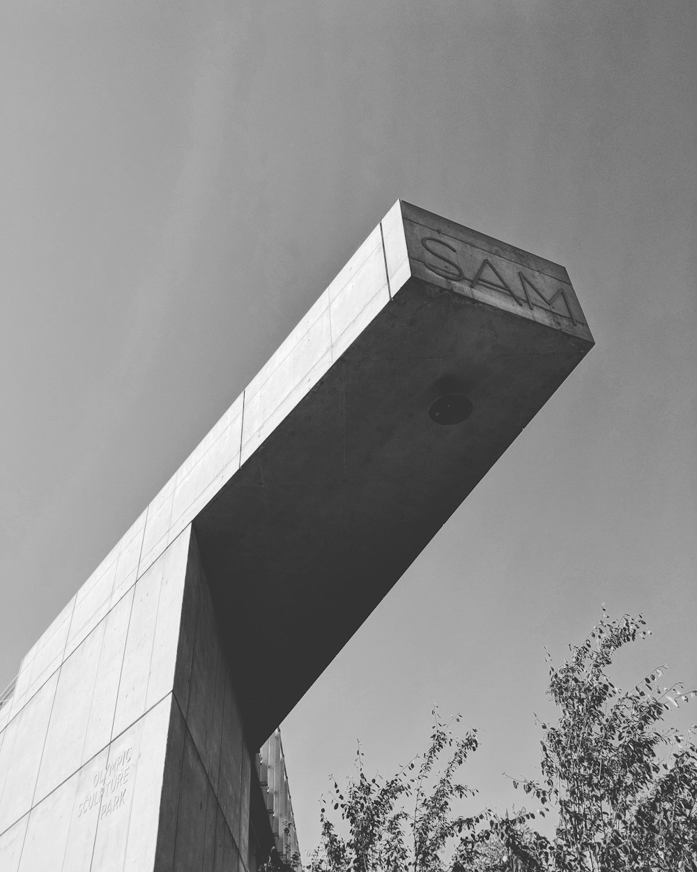 NGAGO最新动态,引领科技革新与产业变革的未来之路