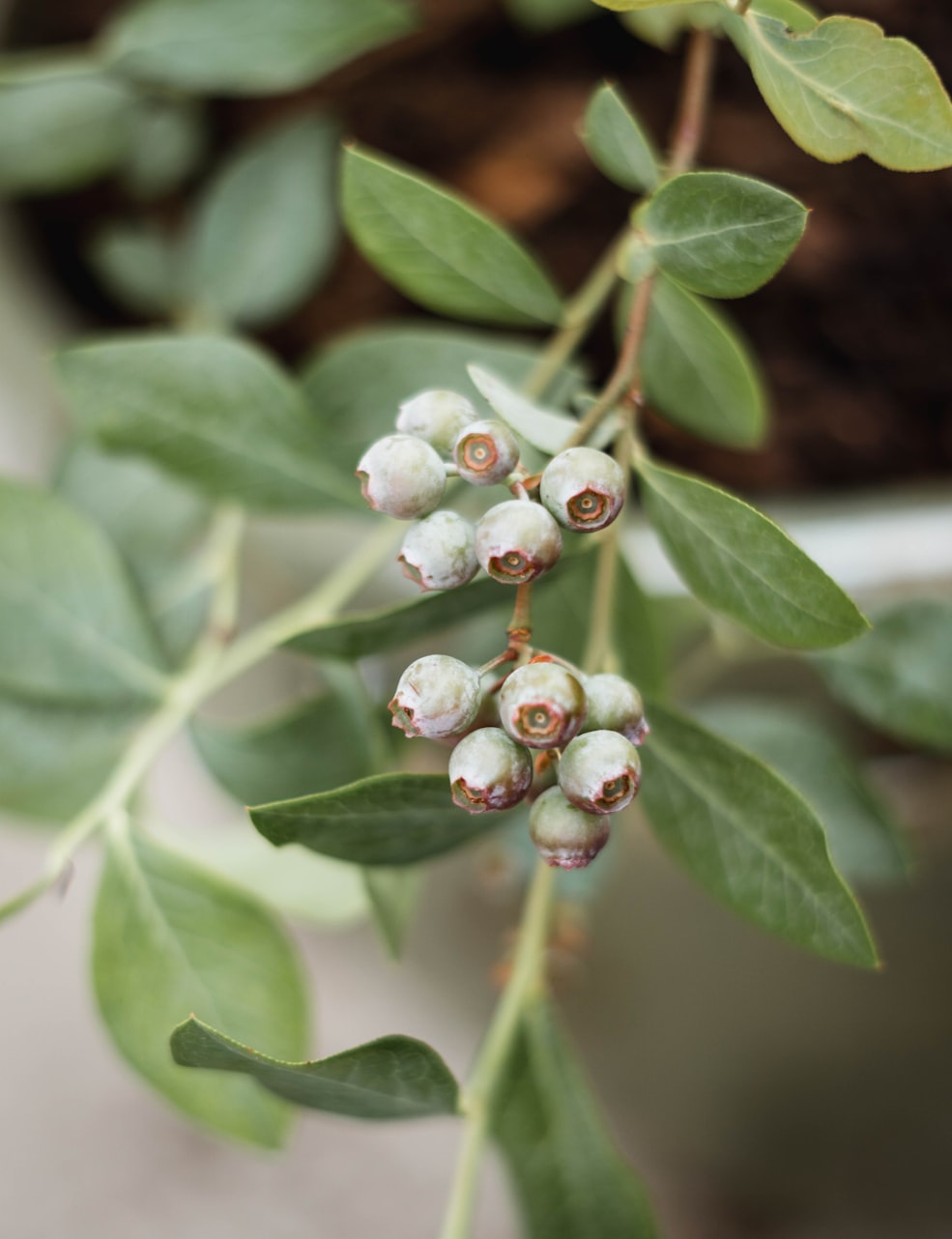 探索时尚、技术与艺术的融合,2017最新动态图片大盘点