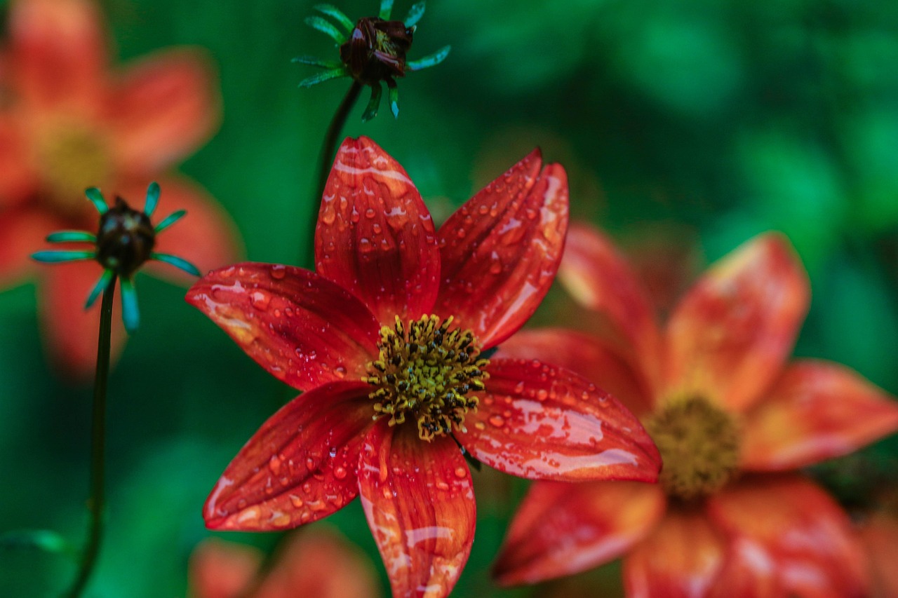 泰勒·斯威夫特最新动态揭秘,音乐事业与生活的新篇章