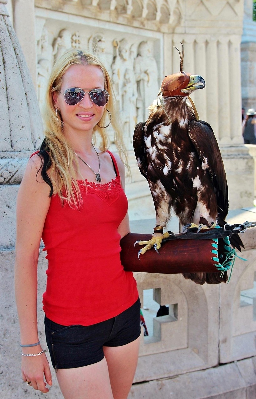 菲律宾疫情最新动态,挑战、应对策略全面解读