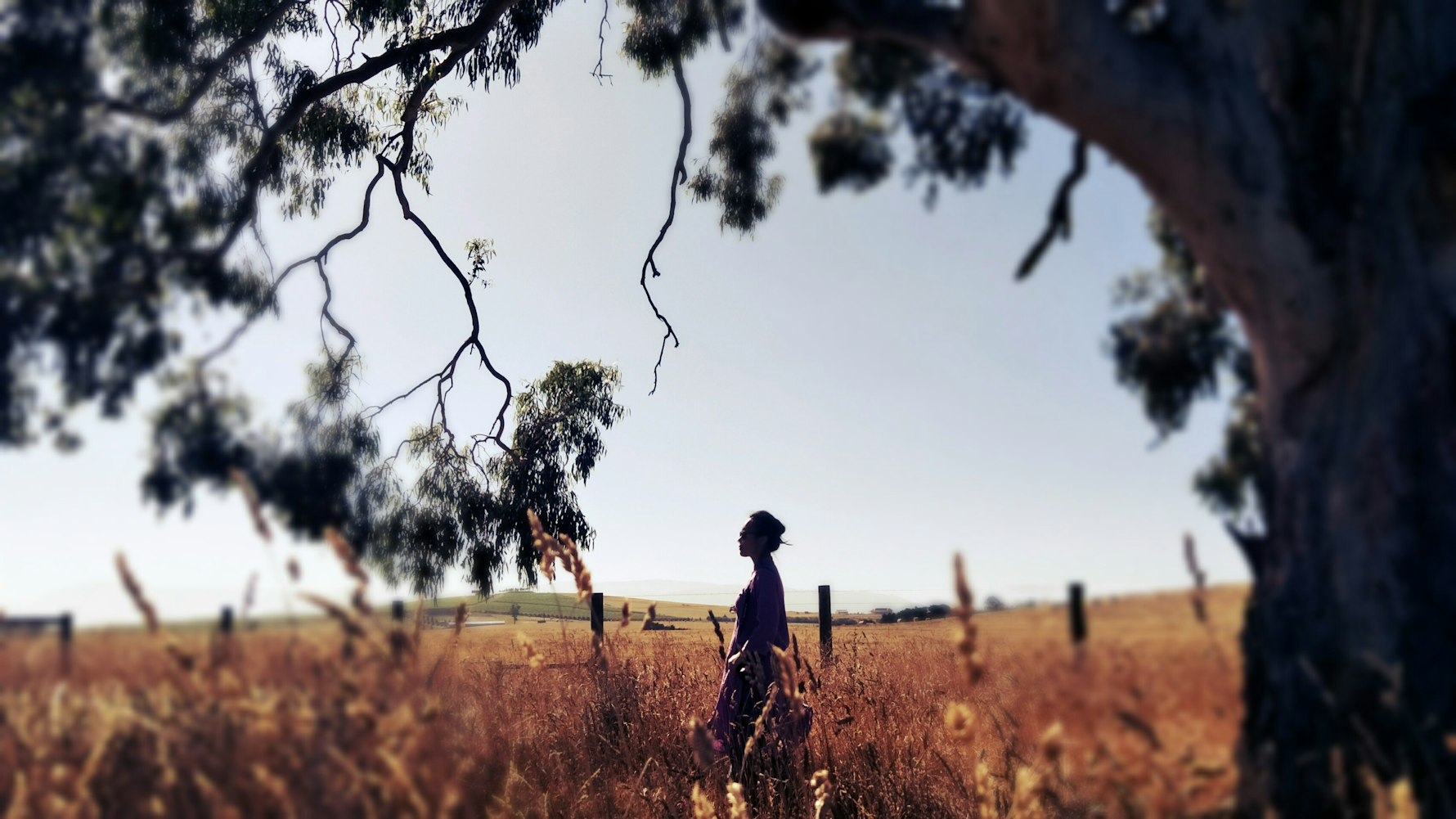 原来你还在这里,情感交织的电影佳作