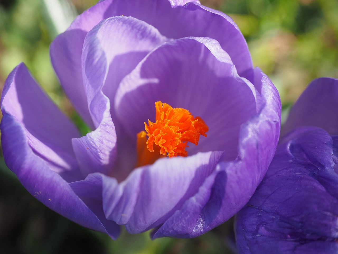 河南盐业改革最新进展与动态更新