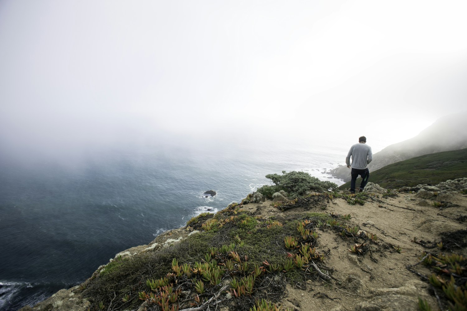 太平洋股票行情分析与展望,最新动态及趋势预测