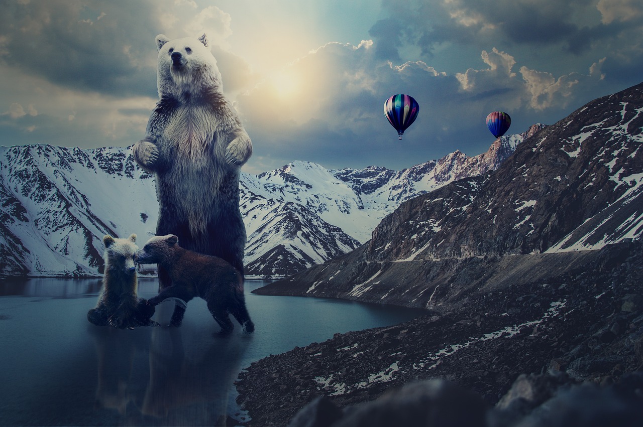 粤语动漫下载,探索与体验之旅