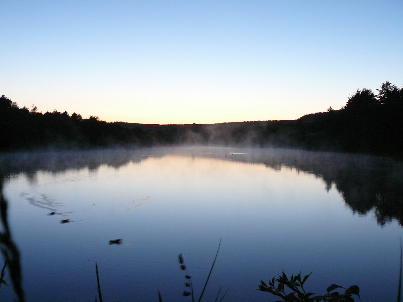 新津旅游攻略,自然美景与人文底蕴的完美融合探索