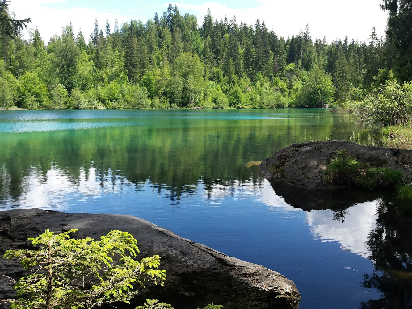 新津旅游攻略,自然美景与人文底蕴的完美融合探索