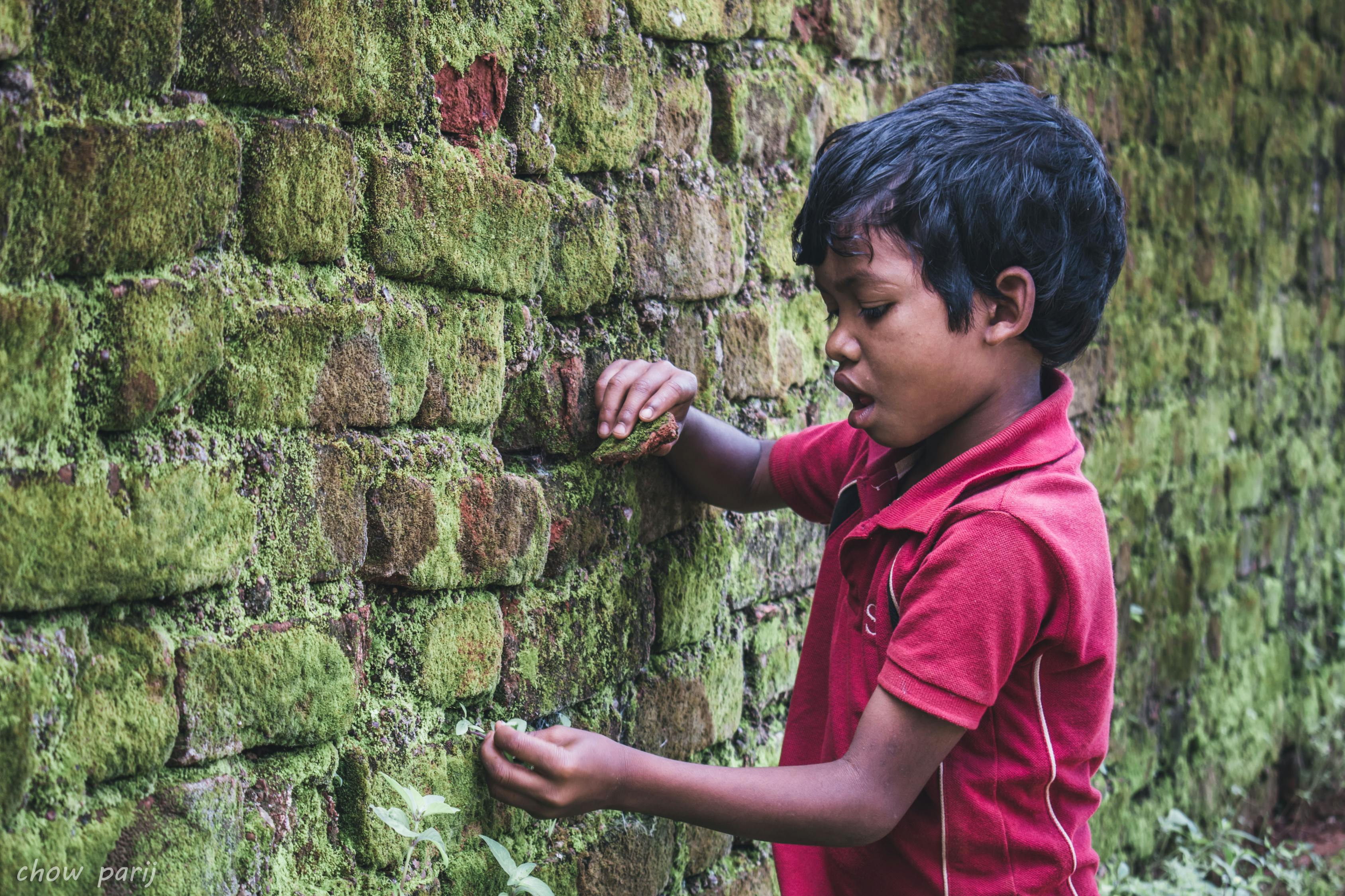 曾少年之小时候,青春回忆的电视剧免费观看