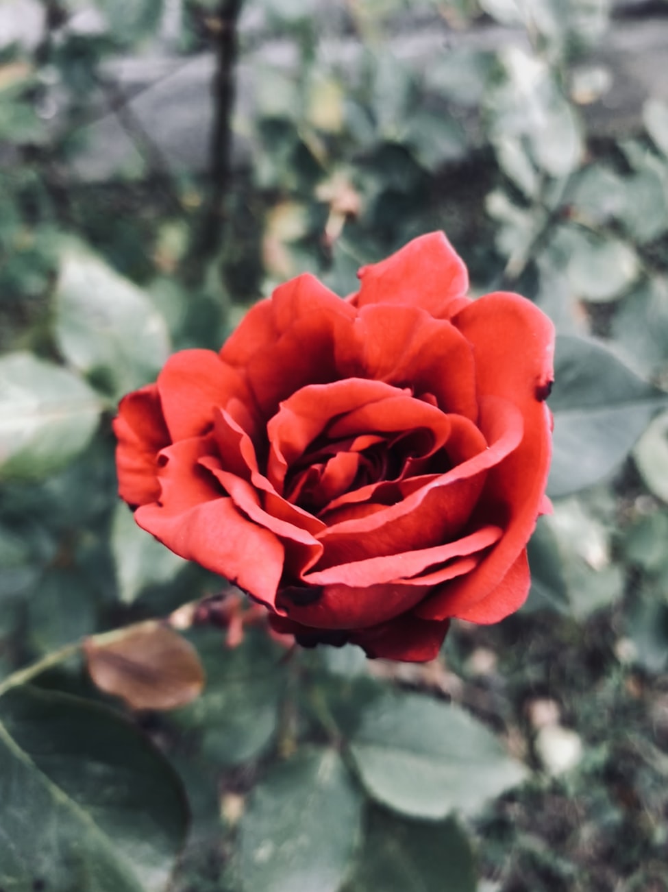 中印边界冲突最新动态,复杂局势下的挑战与应对策略