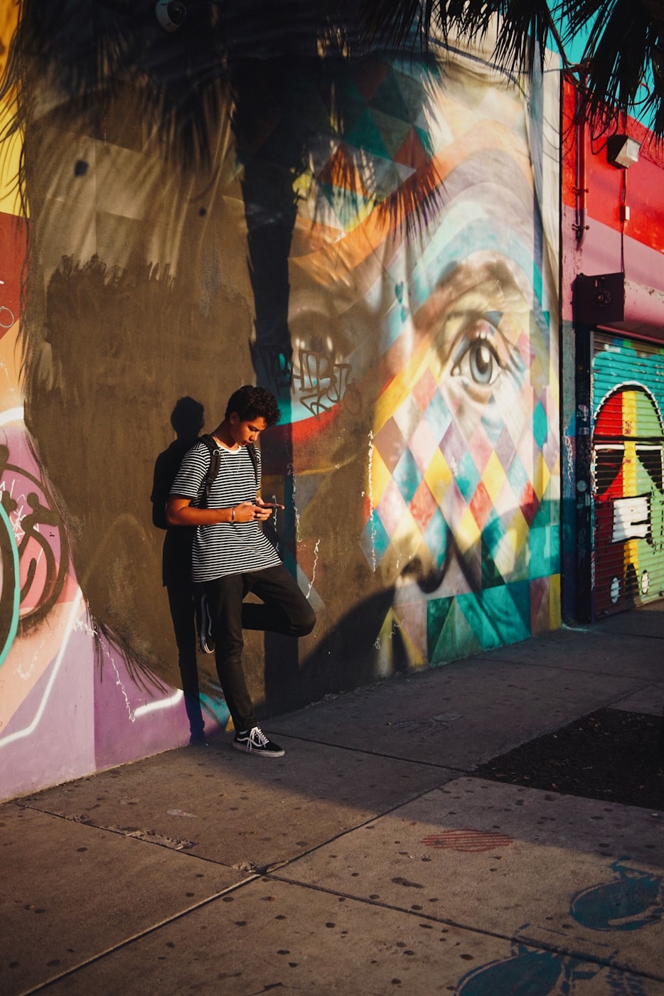 璀璨之夜的文化盛宴——开门大吉明星专场精彩呈现