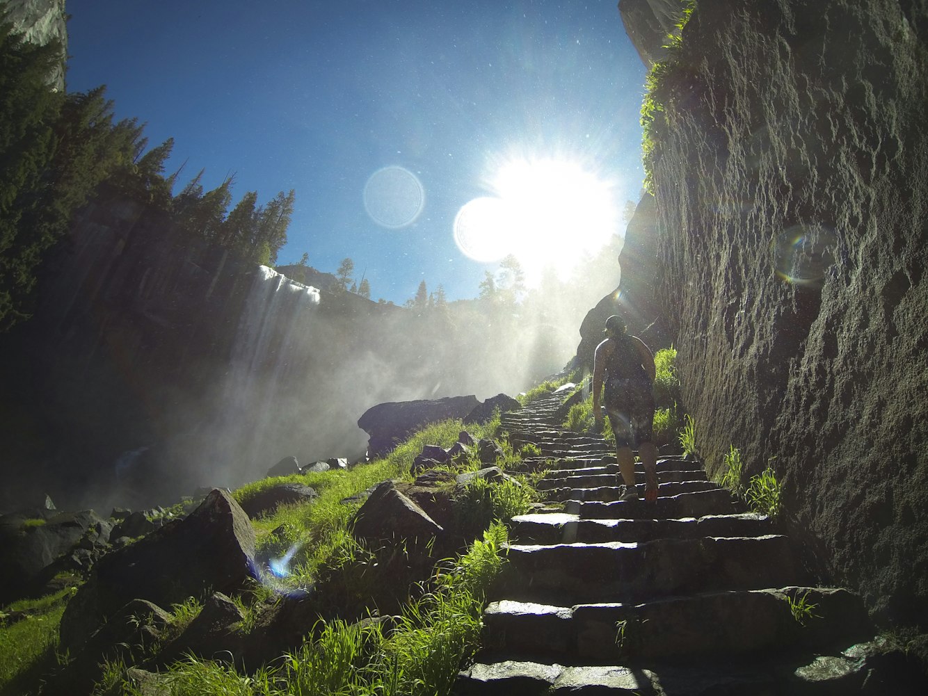 免费动漫应用,探索与体验之旅