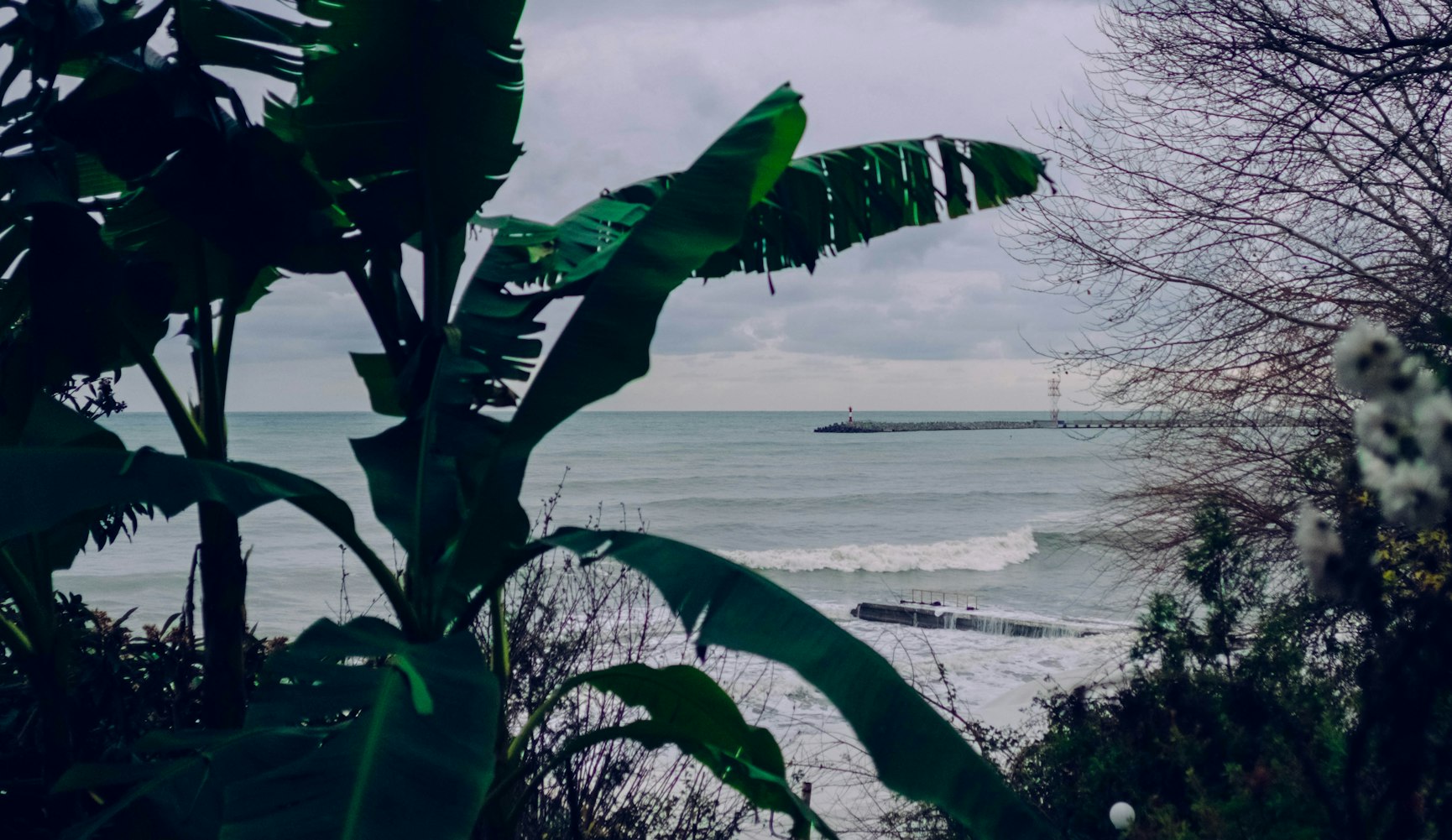 免费动漫应用,探索与体验之旅