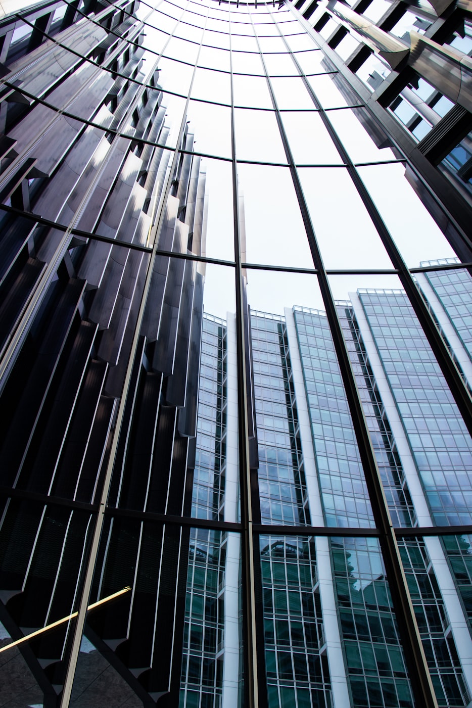 大湖股份股票深度探究与未来展望