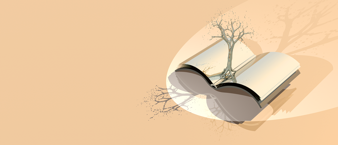 揭秘360奇虎最新动态,创新引领未来,跨界融合展现强大生态布局新动向