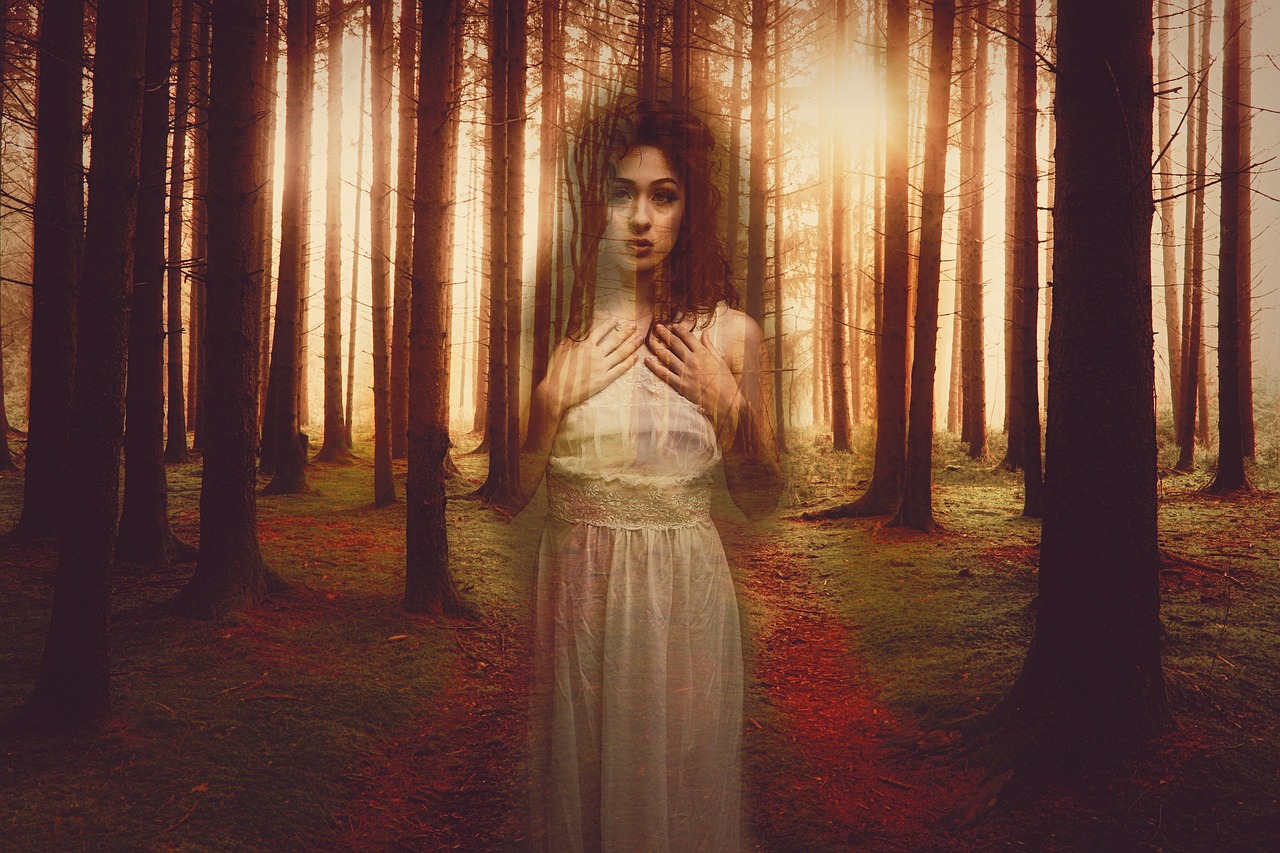 雅诗兰黛最新广告,重塑美丽的力量与时尚魅力之魅影传奇