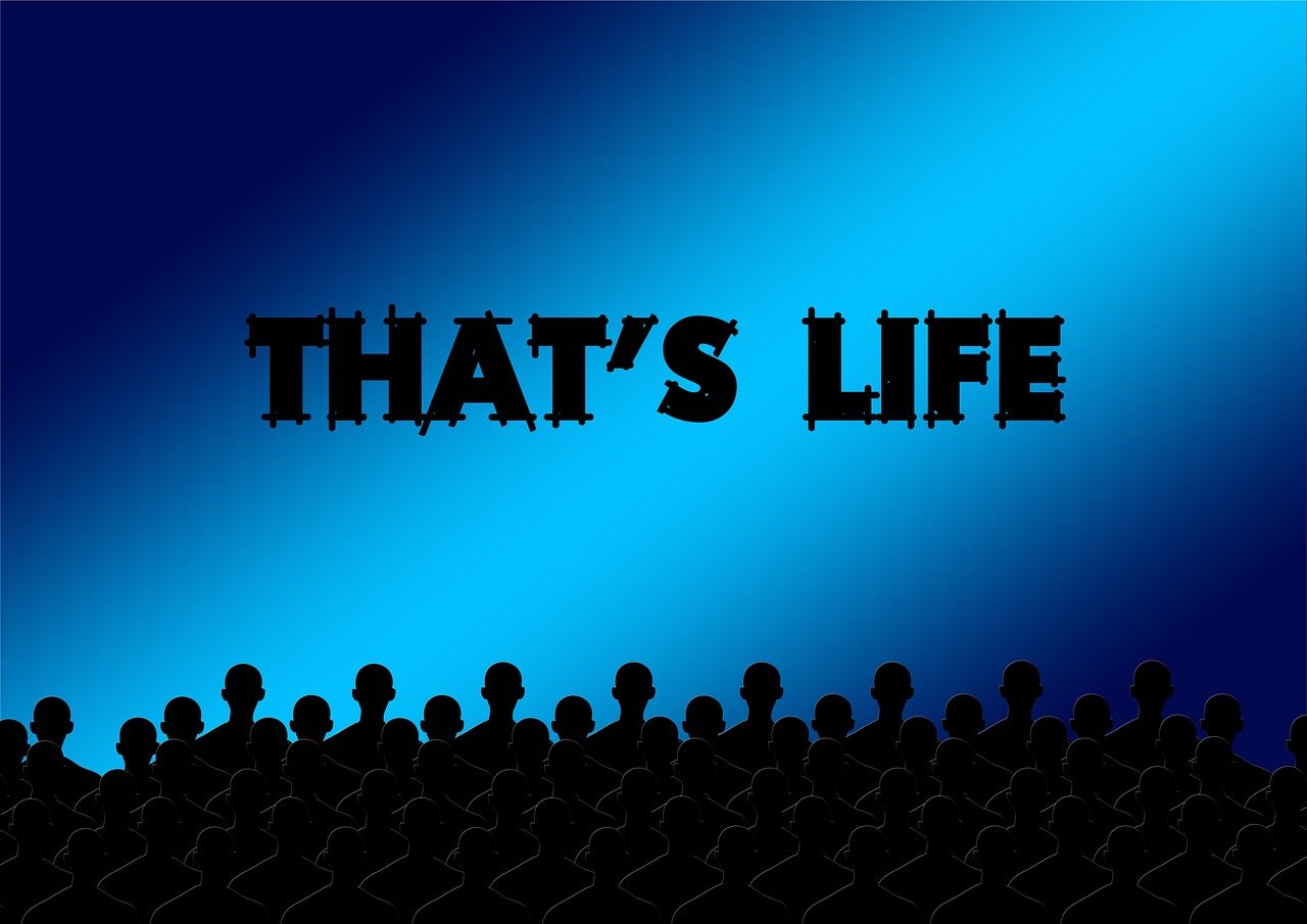 电视电影,连接心灵的艺术之窗