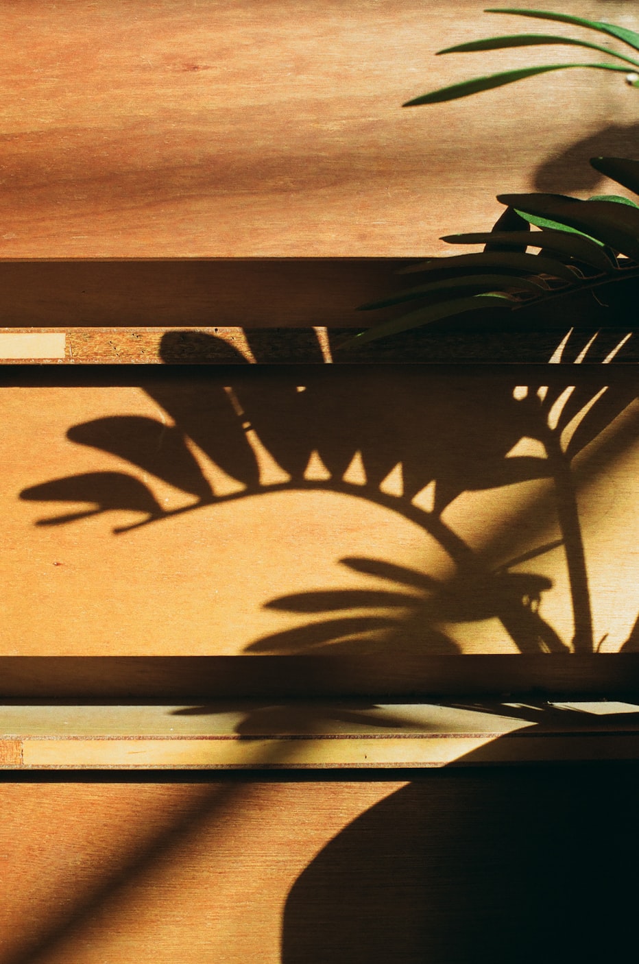 电视电影,连接心灵的艺术之窗