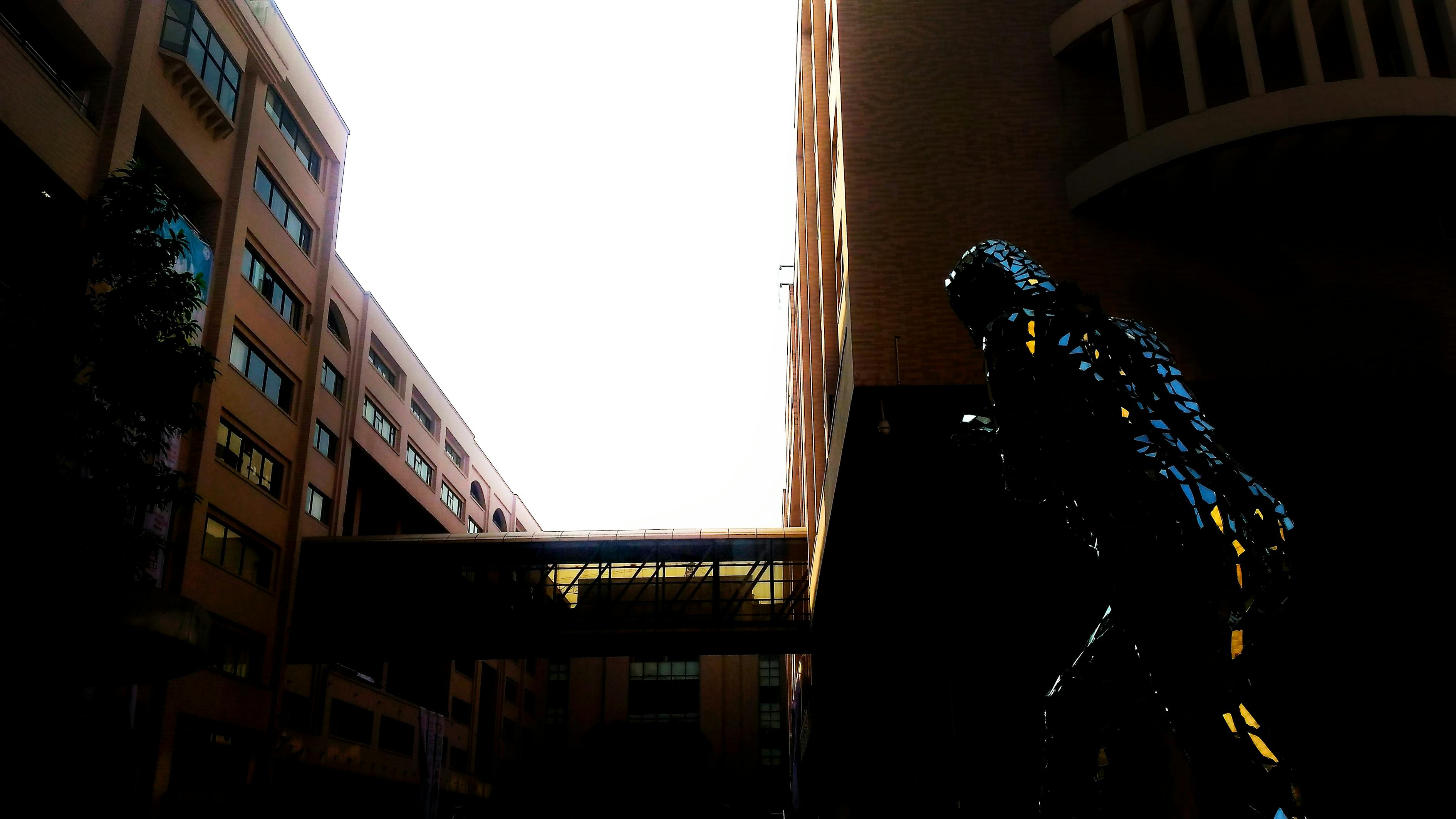 波兰菲古拉比赛过程图——视觉与艺术的盛宴