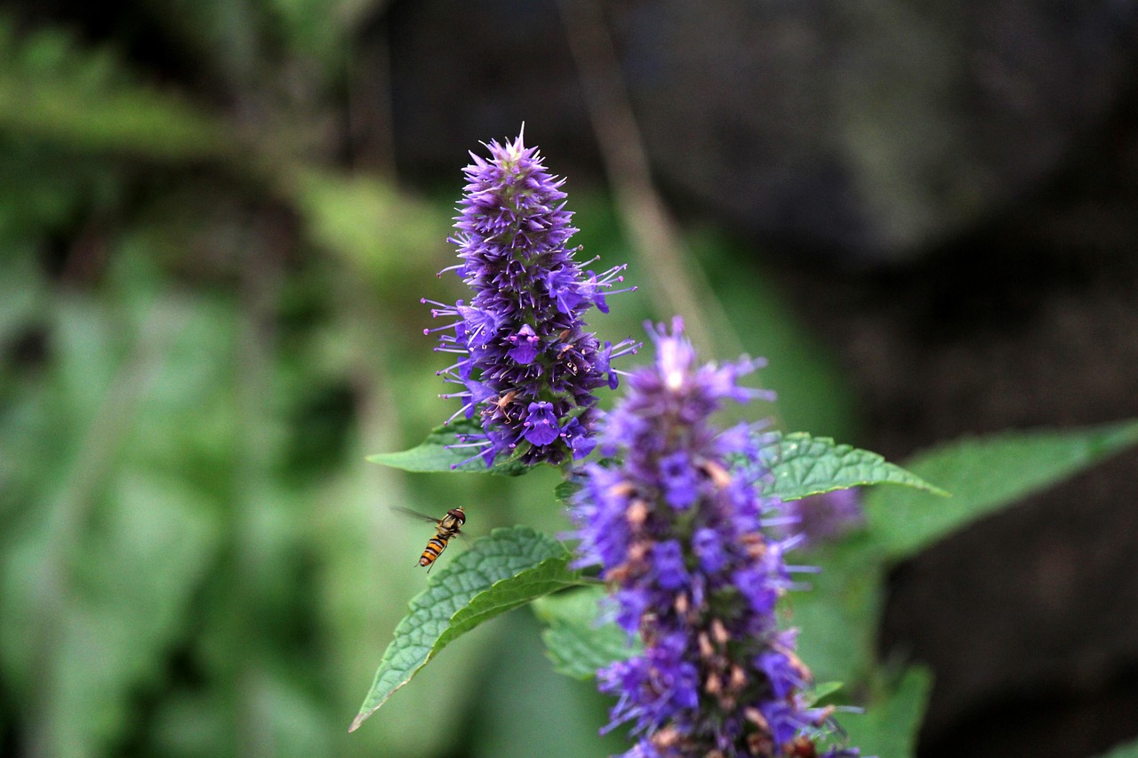 一曦时光 第2页