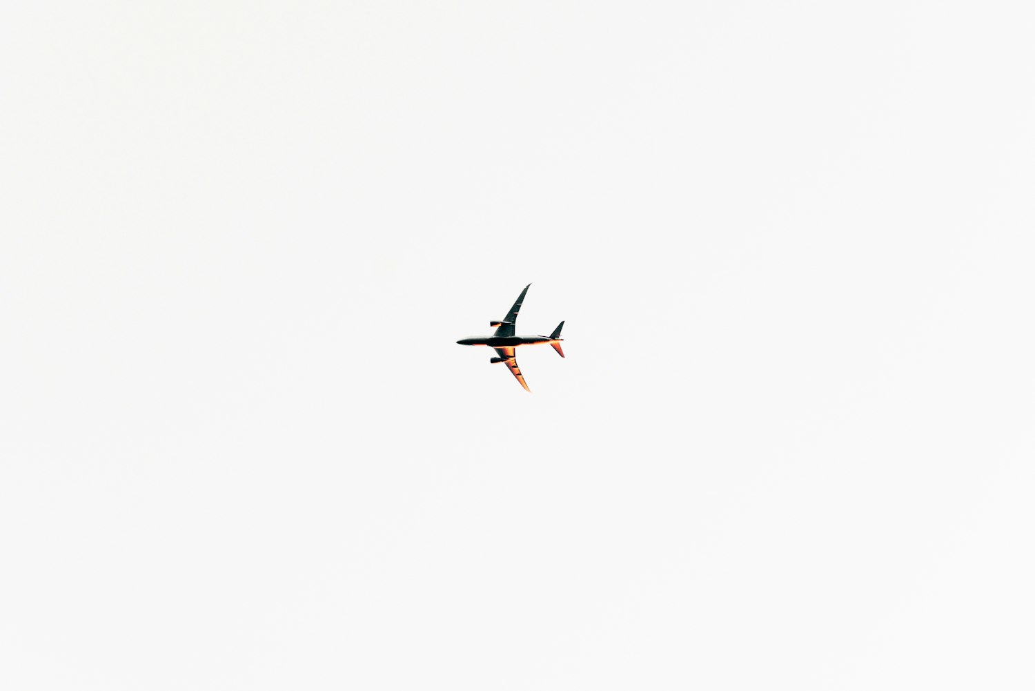 沿河最新疫情动态及其影响概览