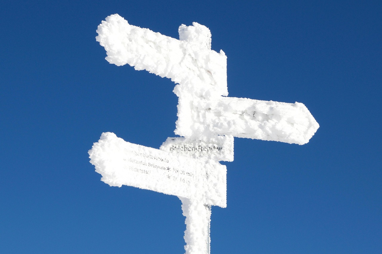 废旧塑料行情深度解析,市场趋势与前景展望