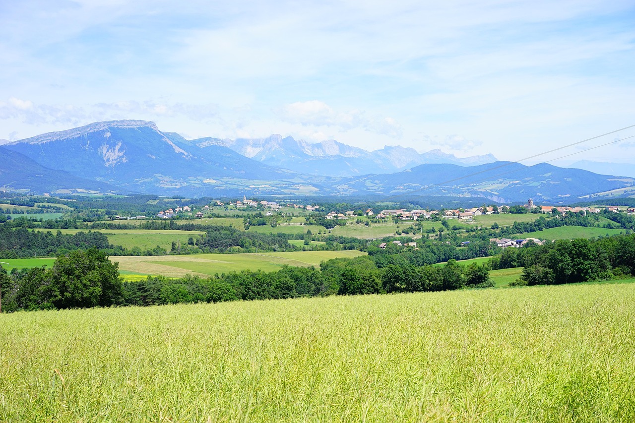 恒顺醋业股价实时动态,市场走势、影响因素及前景展望分析