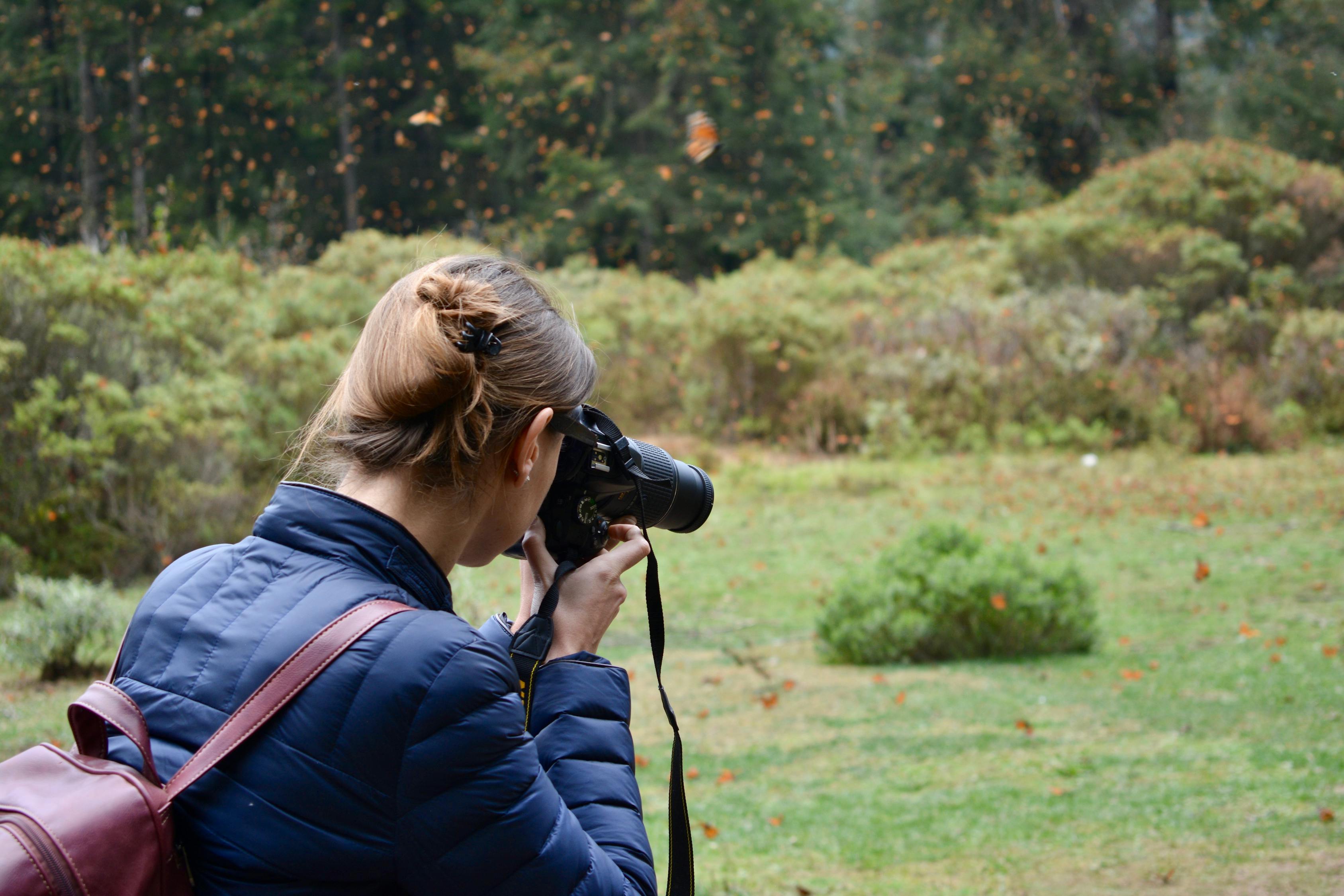 范伟新电影上映,期待与惊艳的碰撞之夜