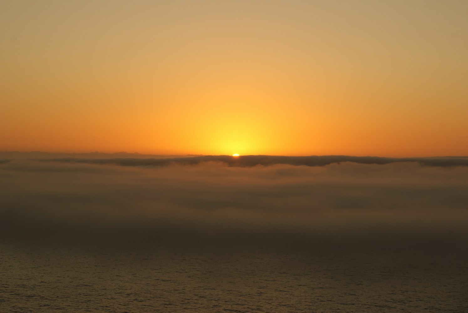 沈阳机床股价最新动态及分析摘要