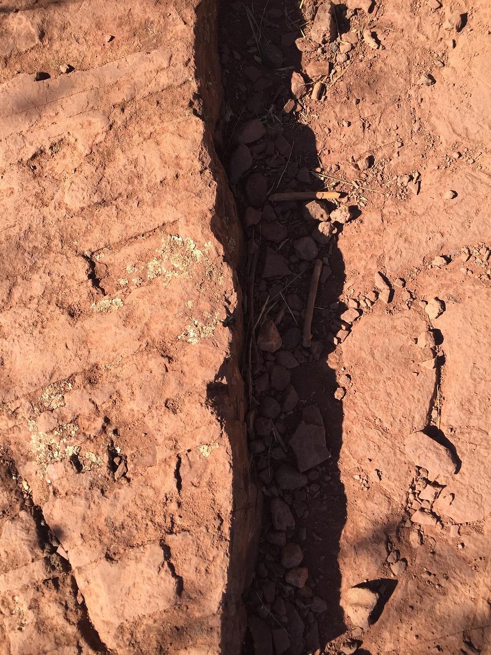 贺天举最新动态,探索未来无限可能