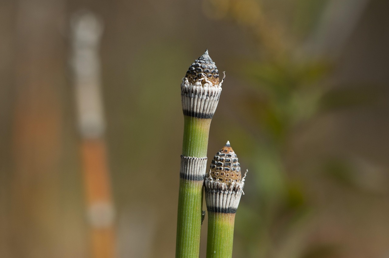 新集水电站最新动态,迈向绿色能源的崭新里程碑