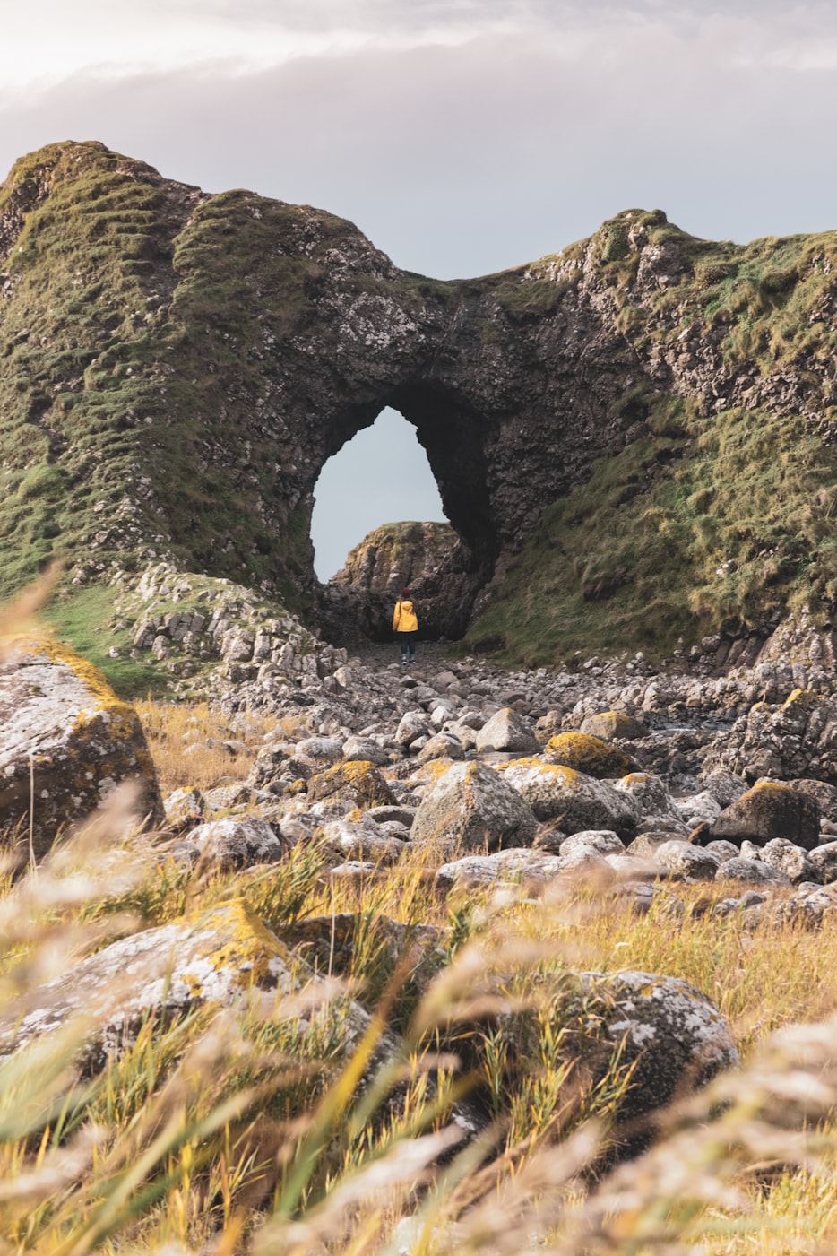 湖北鲁志宏最新动态,探索前沿,引领未来发展之路