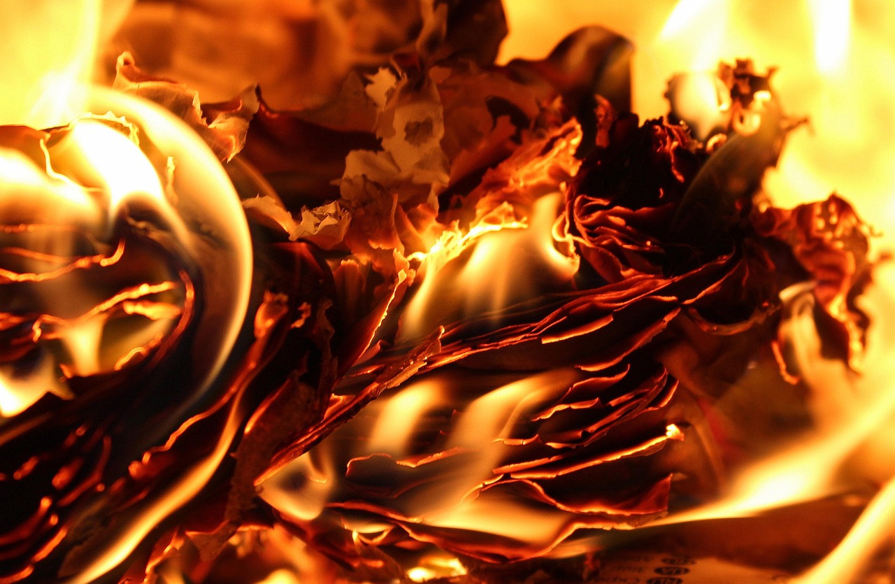 探索虚拟世界魅力的最新热门游戏大盘点