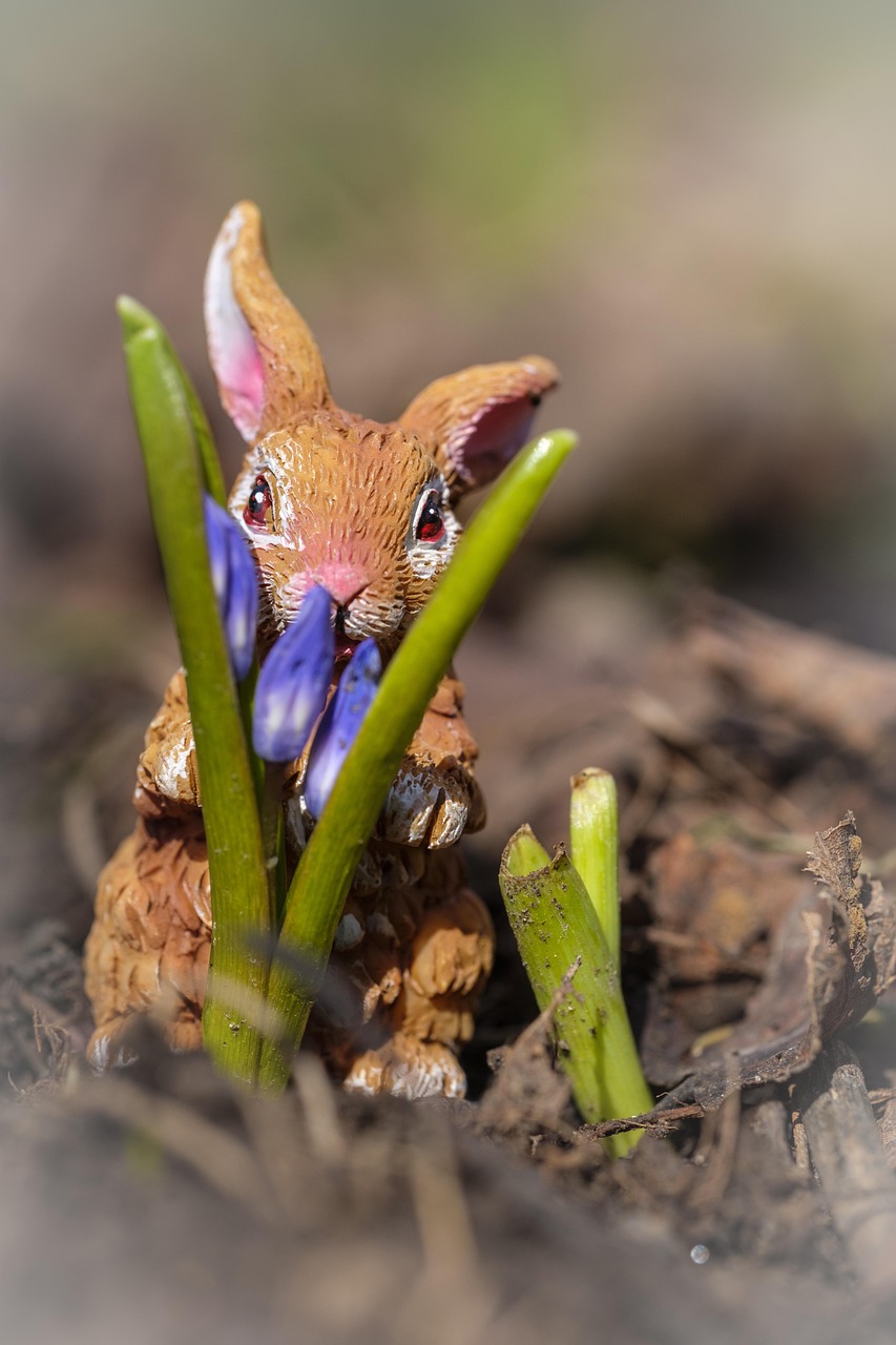 最新微博动态,时代脉搏与年轻人的声音汇聚之地