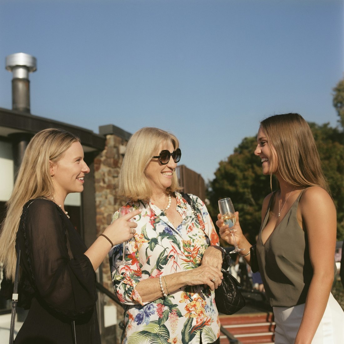 刘蓓蓓,演艺之路的璀璨之星闪耀荧屏